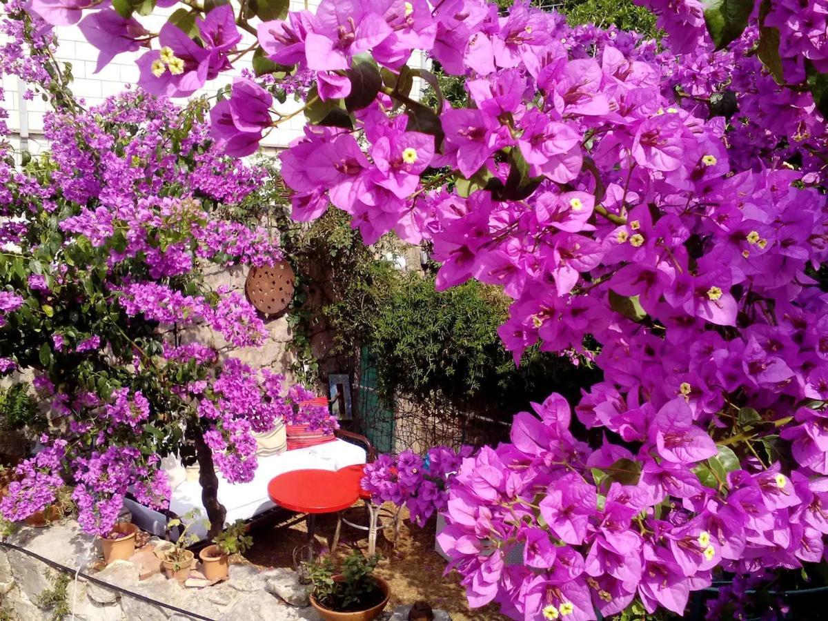 Nonina - Relax And Let Go Apartment Dubrovnik Exterior photo